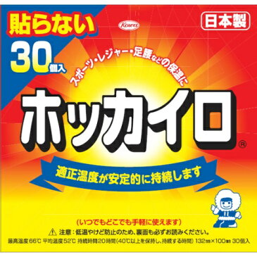 【送料無料・まとめ買い2個セット】興和 ホッカイロ 貼らないレギュラー30個