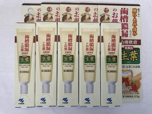 【×5個 配送おまかせ送料込】【第3類医薬品】 生葉口内塗薬 20g(4987072074244)歯肉炎・歯槽膿漏における諸症状に