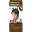【送料無料・まとめ買い4個セット】マンダム ルシード ワンプッシュケアカラー ナチュラルブラウン ( 医薬部外品 ) 【1コ】