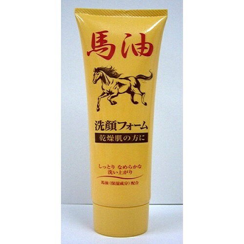 ジュン・コスメティック 馬油 洗顔フォームN 120G ジュン・コスメティック 馬油 洗顔フォームN 120G