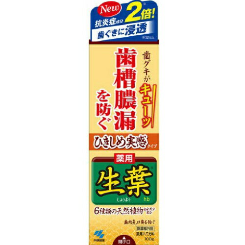 小林製薬 ひきしめ生葉 100g 医薬部外品 ( 歯周・口臭予防病歯磨き オーラルケア )