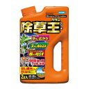 【送料無料・まとめ買い2個セット】フマキラー カダン 除草王 ザッソージエース 2L 散布しやすいシャワータイプの除草剤 非農地用 その1