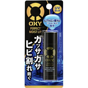 【送料無料・まとめ買い×4個セット】ロート製薬 オキシー(OXY) 薬用パーフェクトモイストリップ 4.5g