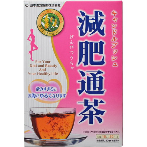 【送料込・まとめ買い×6個セット】【山本漢方製薬】山本漢方 減肥通茶 15g×20包 1