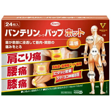 【送料無料】【第2類医薬品】バンテリンコーワ パップホット 24枚入(セルフメディケーション税制対象) 1個