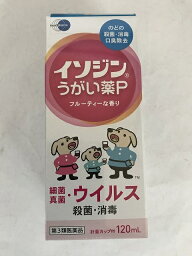 【第3類医薬品】イソジンうがい薬P 120ml