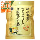【メール便送料無料】求心製薬 のどにやさしい 金銀花のど飴 70g 1個