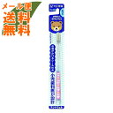 【×4本セットメール便送料込】大正製薬 歯医者さん 小学校 ふつう 歯ブラシ 1本 ※お色は選べません。歯科医師が設計したハブラシ 名前がかけるシールつき (名前がかけるシールつき)(4)