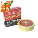 【メール便送料無料】【第2類医薬品】 キップパイロール-Hi 40g 1個