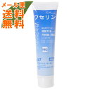 【メール便送料無料】【大洋製薬】ワセリンHGチューブ 60g 1個