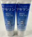 【×2本セット送料込】大洋製薬 ワセリンHG 100g チューブタイプ　(4975175023726)