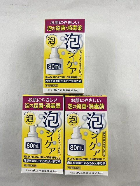 【×3個セッ送料込】【第3類医薬品】 泡ジーケア 80mlト