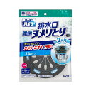 花王 キッチンハイター 除菌ヌメリとり 本体 ゴムタイプ 1個入