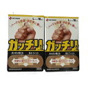 【×2個 配送おまかせ】ニチバン ガッチリバン Lサイズ 10枚入 絆創膏