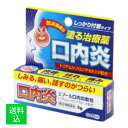 【配送おまかせ】【第(2)類医薬品】Pi エプール口内炎 軟膏 5g 塗る治療薬 1個