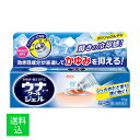 【メール便送料無料】【第2類医薬品】興和 ウナコーワ クールジェル 15g 1個