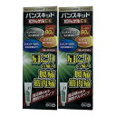 【×2個 配送おまかせ】【第2類医薬品】三友薬品 バンスキットID1%ゲルEX 80g ※セルフメディケーション税制対象 経皮吸収型消炎鎮痛剤