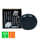 【×2個セット 送料込】地の塩社 C&B 炭石けん 100g