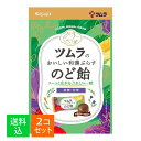 【×2袋セット メール便送料込】ツムラ ツムラのおいしい和漢ぷらす のど飴 49g