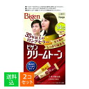 【×2個 配送おまかせ】ホーユー ビゲンクリームトーン 14G くすみのある栗色 80g 白髪用 白髪染め
