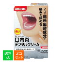 【×2個セット メール便送料込】【第2類医薬品】森下仁丹 メディケア デンタルクリーム 5g 口内炎 軟膏タイプ
