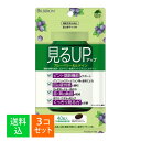 【×3袋セット メール便送料込】ユニマットリケン 見るアップ ブルーベリー&ルテイン 40粒入