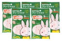 【×5袋セット メール便送料無料】日本マスク ミッフィ 幼児用 プリーツマスク 5枚入(4)