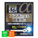 【×5個セット メール便送料無料】【第2類医薬品】佐賀製薬 アイリッチα 13mL