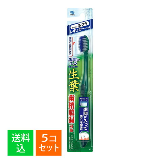 【×5個セット メール便送料無料】小林製薬 生葉 歯間に入るブラシ レギュラー ふつう ハブラシ 1本入※色は選べません 【×5個セット メール便送料無料】小林製薬 生葉 歯間に入るブラシ レギュラー ふつう ハブラシ 1本入※色は選べません