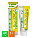 【×5本セット 送料込】第一三共ヘルスケア 薬用 クリーンデンタル 口臭ケア 50g 医薬部外品 歯磨き粉(4)