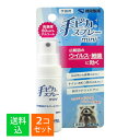 【×2個セット メール便送料込】健栄製薬 手ピカスプレーmini 25ml