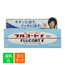 【×3個セット メール便送料込】【第(2)類医薬品】フルコートf 軟膏 5g