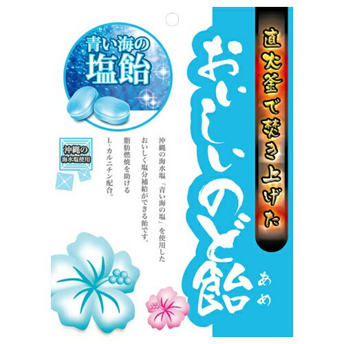 【メール便送料無料】日進医療器 おいしいのど飴 青い海の塩飴 70g 1個