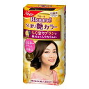 【スプリングセール】花王 ブローネ らく塗り艶カラー 6 ダ-クブラウン 100g