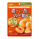 【メール便送料込】アサヒグループ食品 濃ーい杏 あんず のど飴 84g 栄養機能食品 1個