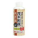 レック 茂木和哉 C00258 キッチン用 150g 水垢 洗剤