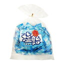 【サマーセール】日進医療器 おいしいのど飴 塩 180g