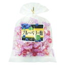 【サマーセール】日進医療器 おいしいのど飴 ブルーベリー180g