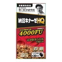【送料込・まとめ買い×6個セット】野口医学研究所 納豆キナーゼHQ ナットウキナーゼ 4000FU 高品質・高分散!巡る納豆パワー 120錠入