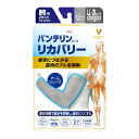 【サマーセール】興和 バンテリンコーワ リカバリー アームスリーブ ゆったり大きめサイズ LL-3Lサイズ アッシュグレー 腕用 2枚入
