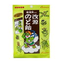 【サマーセール】カイゲンファーマ 改源 のど飴 70g