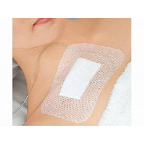 【送料無料】アルケア シルキーポア ドレッシング(20枚入)1号(20枚入)