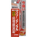 【送料無料・まとめ買い×20個セット】【第3類医薬品】第一三共ヘルスケア クリーンデンタルN 歯槽膿漏薬 16g(4)