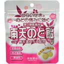 【送料無料・まとめ買い×20個セット】【第3類医薬品】常盤薬品工業 南天のど飴U はちみつ梅風味 パウチ 22錠 ※セルフメディケーション税制対象