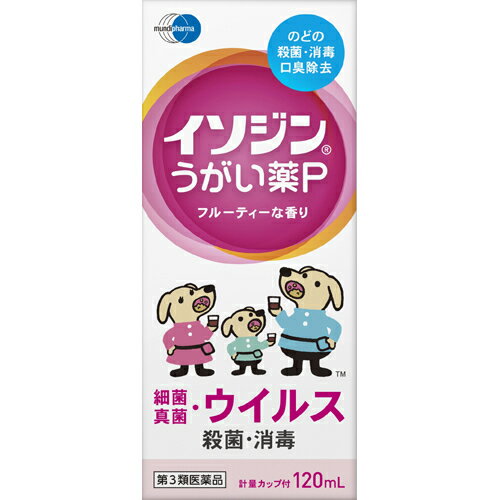 【送料無料・まとめ買い×2個セット】【第3類医薬品】イソジンうがい薬P 120ml