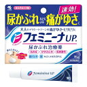 【送料込・まとめ買い×4個セット】【第2類医薬品】小林製薬 フェミニーナUPa 15g ※セルフメディケーション税制対象