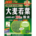 【送料無料・2個セット】山本漢方製薬 大麦若葉粉末100% 170g(4)