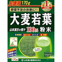 商品名：山本漢方製薬 大麦若葉粉末100％ 170g　内容量：170gJANコード:4979654023931発売元、製造元、輸入元又は販売元：山本漢方製薬商品番号：103-4979654023931大麦若葉をそのまま採集・乾燥・滅菌・微粉末加工しました。大麦若葉は、青汁の中でも匂いや味にくせがなく、抹茶のような味わいです。大自然の中で育った大麦若葉には、各種ミネラル・ビタミン・タンパク質が豊富に含まれています。添加物は一切使用していません。簡単便利で、お子様からお年を召した方までお使いいただけます。また、牛乳やヨーグルトに混ぜても、美味しくいただけます。野菜不足の方、野菜嫌いの方、偏食の多い方、食事コントロールの野菜不足補助に、カルシウムや食物繊維が不足している方にもおすすめです。内容量 : 170g1日量(目安) : ティースプーン2杯を1-2回広告文責：アットライフ株式会社TEL 050-3196-1510 ※商品パッケージは変更の場合あり。メーカー欠品または完売の際、キャンセルをお願いすることがあります。ご了承ください。