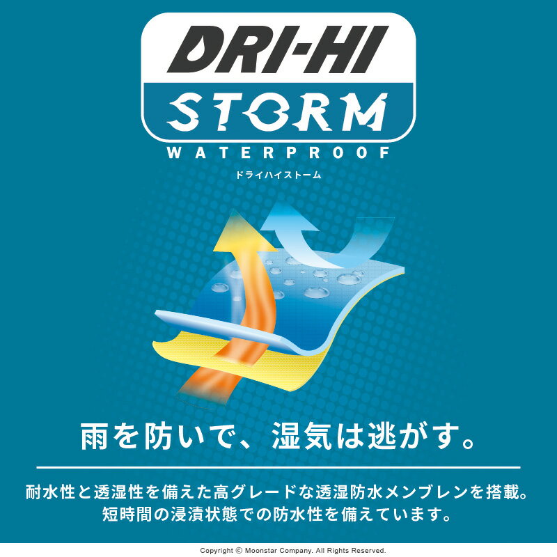 サンプル画像3