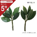 【マラソン限定ポイント5倍】 神棚 神具 お供え 榊 プリザーブド榊 ミニ 1対 あす楽